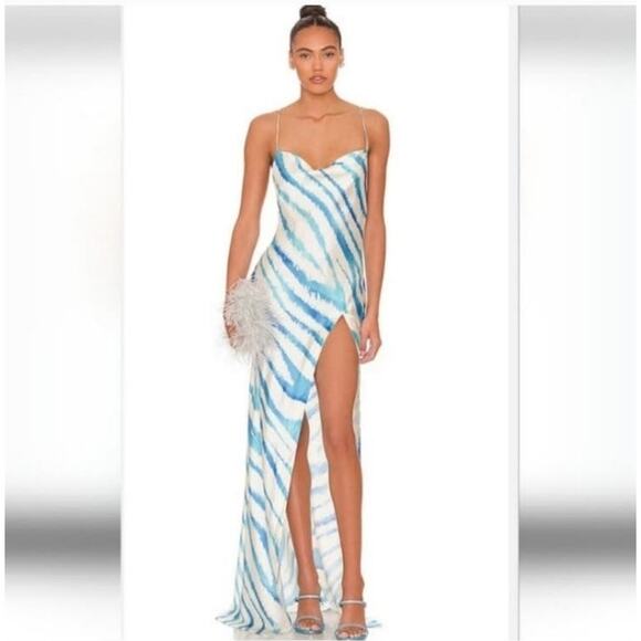 Retrofete Amika Dress in Blue Zebra Size XL Maxi Sleeveless Silk - Picture 1 of 13